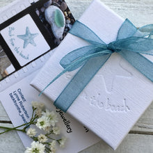 Load image into Gallery viewer, EARRINGS . cowrie shell . studs