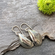 Load image into Gallery viewer, EARRINGS . mussel shells . dangle . large