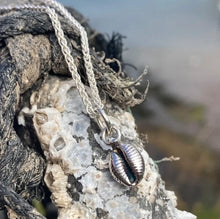 Load image into Gallery viewer, PENDANT . cowrie shell . small