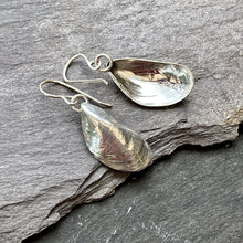 Load image into Gallery viewer, EARRINGS . mussel shells . dangle . large