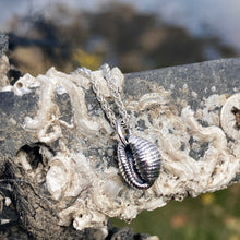 Load image into Gallery viewer, PENDANT . cowrie shell . large