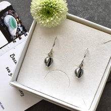 Load image into Gallery viewer, EARRINGS . cowrie shell . dangle