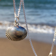 Load image into Gallery viewer, PENDANT . cockle shell . large