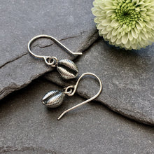 Load image into Gallery viewer, EARRINGS . cowrie shell . dangle
