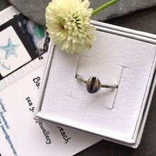 Load image into Gallery viewer, RING . cowrie shell