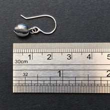 Load image into Gallery viewer, EARRINGS . cowrie shell . dangle