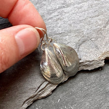 Load image into Gallery viewer, EARRINGS . mussel shells . dangle . large
