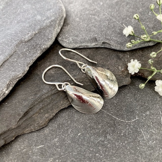 EARRINGS . mussel shell . dangle