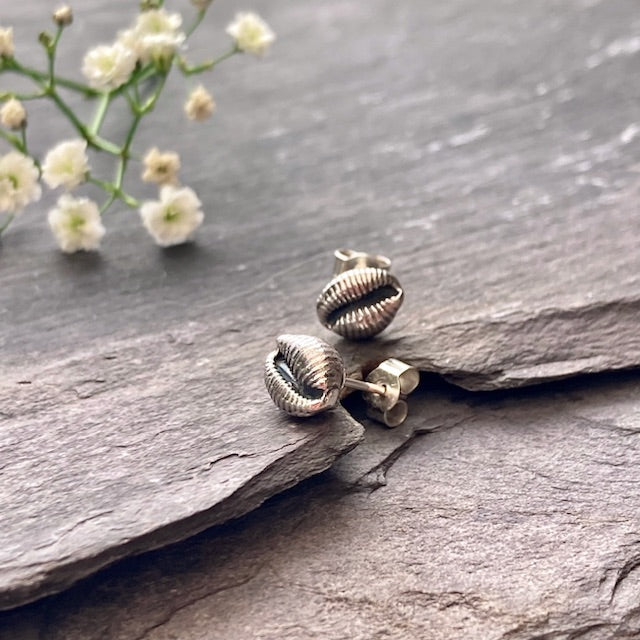 THE COWRIE Stud selling Earrings in Silver