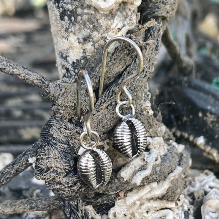 EARRINGS . cowrie shell . dangle