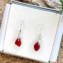 Load image into Gallery viewer, EARRINGS . crimson

