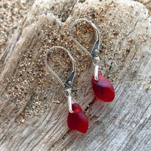 Load image into Gallery viewer, EARRINGS . crimson
