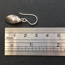 Load image into Gallery viewer, EARRINGS . mussel shell . dangle
