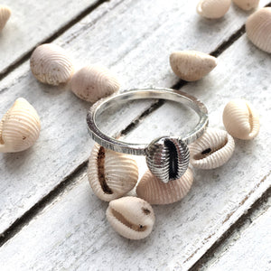 RING . cowrie shell